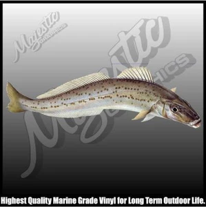 KING GEORGE WHITING - 270mm x 85mm - DECAL - LEGAL SIZE VIC - Picture 1 of 1