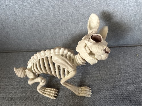 Crazy Bonez Skeleton Dragon Prop Halloween Decoration W81158 | eBay