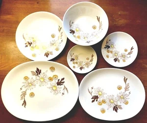 15 PCS Johnson Bros England Contempo Stoneware DAISIES WONT TELL Dinnerware _EUC - Picture 1 of 12