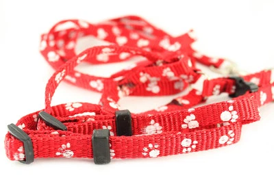 Correa de entrenamiento roja para perros Arnés Collar Estampado de patas Cuerda Mascota Cachorro Correa larga Foto 1 de 2