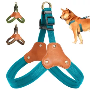 Chaleco de entrenamiento acolchado suave para caminar ajustable perro pequeño grande - Imagen 1 de 24