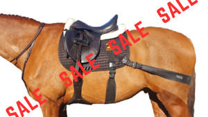 SALE Equine Band Core Conditioning System by Equine Balance Bands