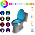Toilet motion sensor colored led light