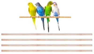 MCAGE Lot of 4 Pcs 24-Inch Standing Natural Wood Perches For Bird Parrot Flight Cage