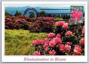 #4531 Garden of Love Pink Flower FDC Maxi Card - Picture 1 of 2