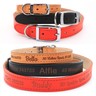 custom puppy collar