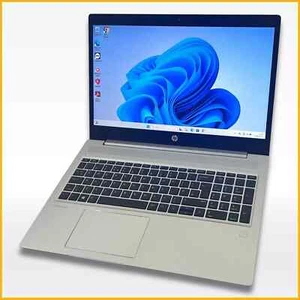 HP ProBook 450 G7 15.6" i5-10210U 16GB RAM 256GB SSD FHD Windows 11 Pro Laptop - Picture 1 of 7