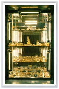 Postkarte: NV Gold Display The Nugget Bar & Casino, Carson City Nevada - unbesendet - Bild 1 von 2