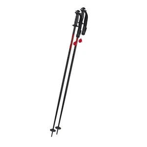 Komperdell Alpin Skistöcke Schnapsstock Spirit of the Mountains, Fix 110 - 135cm - Bild 1 von 2