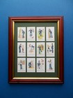  CIGARETTE CARDS BY FAULKNER  - NAUTICAL TERMS  FRAMED (A)