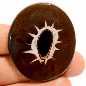 100% Natural Septarian Gronates Oval Cabochon Gemstone 51.5 Ct 39X34X4mm GC41513 - Picture 1 of 2