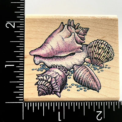 Rubber Stampede Seashells A617E Wood Mounted Rubber Stamp - Image 1 of 3