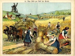 1891 WALTHER CHROMOLITHOGRAPH 19th century field harvesting - Picture 1 of 3