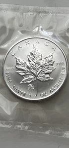 2008 Canadian Silver Maple With Lunar Rat Privy RCM Sealed - Picture 1 of 2
