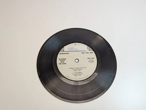 An Evening Wasted with Tom Lehrer, Poisoning Pigeons the Park, 7" 33 RPM Promo - Foto 1 di 5