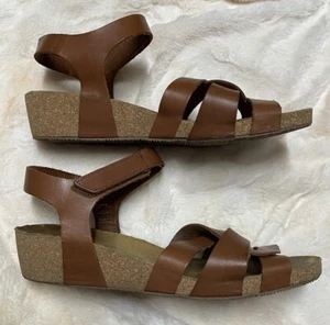Eric Michael Women’s Brown Ankle Strap Sandal EUR 42 - Picture 1 of 6