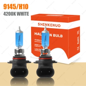 2x 9145 9140 Halogen Fog Light Bulbs For 1999-2019 Ford F150 4200K White - Picture 1 of 11