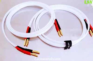 QED XT25 Speaker Cable (A Pair) Terminated - Zdjęcie 1 z 6