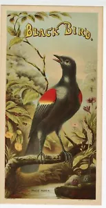 BLACK BIRD Caddy Crate Label, lang || A. Hoen und Co. Lithographie, antik - Bild 1 von 1