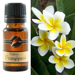 Gumleaf Fragrance - Native Frangipani Fragrant Oil - 10 ml - Picture 1 of 4