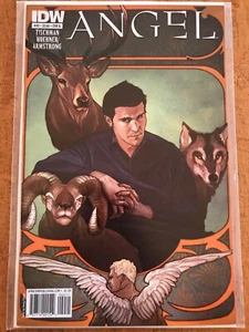 ANGEL #40 IDW COMICS 2011 Buffy The Vampire Slayer Spike - NM - Picture 1 of 2