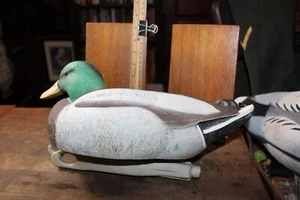 Plastic Duck Decoy Storm Hard Core Standard Mallard - Picture 1 of 8