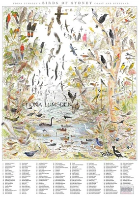 'Birds of Sydney - Coast & Bushland'. Laminated Bird Poster with ID Key - image 1 of 4
