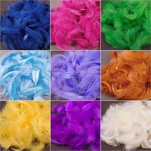 Soft Small 25 x Feathers Arts Crafts Scrapbooking Card Making Embellishments - Picture 1 of 26