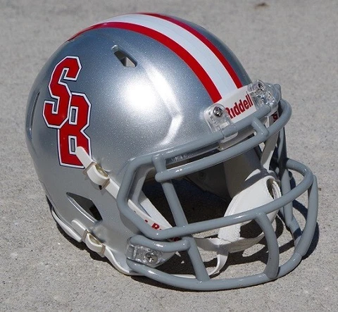 STONYBROOK UNIVERSITY SEAWOLVES THROWBACK FOOTBALL MINI HELMET Cover