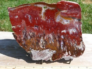 TCR SICAT AGATE/JASPER/LAPIDARY POLISHED SLAB 462 GRAMS - Picture 1 of 4