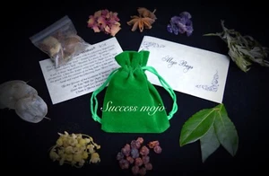 Mojo bag Success Gris Gris Wicca Pagan Witchcraft spells - Picture 1 of 5