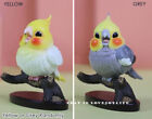 Cg Parrot Blind Box Model 03 Series Psittaciformes Animal Figure Toy Decor Gift