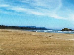 Postcard British Columbia Vancouver Island Tofino Long Beach Pacific Rim Pk MINT - Picture 1 of 1