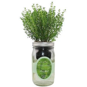 Hydroponic Herb Growing Kit, Self-Watering Mason Jar Herb Garden Starter Kit ... - Picture 1 of 5
