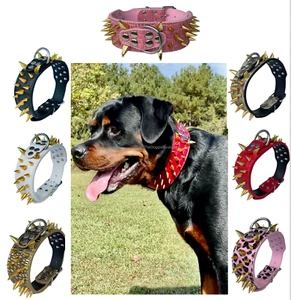 Dog Collar Sharp Gold Spikes Spike Rivet Adjustable PU Leather 2" wide S M L XL - Picture 1 of 36