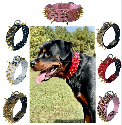 Dog Collar Sharp Gold Spikes Spike Rivet Adjustable PU Leather  2" wide S M L XL - Image 1 of 4