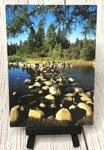 Mississippi Headwaters Itasca State Park Minnesota MN Postcard - Picture 1 of 4