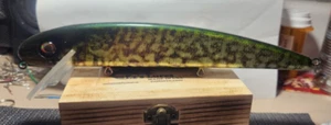 Musky 10 inch Jake Crank Bait, Custom Wrap Pickle pike - Picture 1 of 4