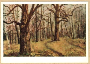 T.Torchakova 1976 Russian postcard OAK TREES CHEPYZH FOREST (Tula region) - Bild 1 von 2