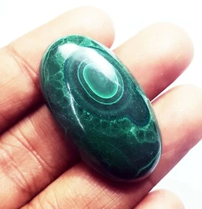 100% Natural Malachite 53.95 Ct Certified Loose Gemstone With Free Gift - Picture 1 of 5