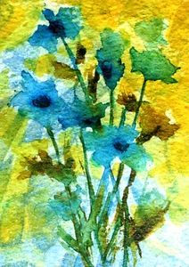 ACEO, ORIGINAL watercolor painting, "BLUE HUES" floral by Janet Leo - Picture 1 of 1