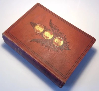 Heroes Of North African Discovery, 1877 Rare Antique Book, Africa Fold Out Map - Image 1 of 4