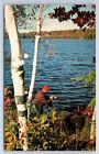 Vintage Postcard Elim Lodge Peterborough Ontario Canada Fisherman Lake
