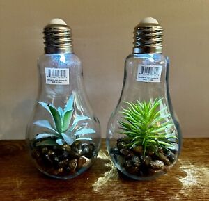 Faux Succulent LED Glass Bulb Terrariums 9” Set Of 2