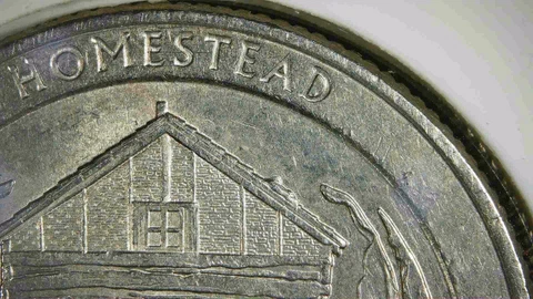2015-P HOMESTEAD,NEBRASKA MINT ERROR, SNOW ON ROOF Cover