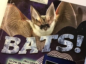 Scholastic BATS! Book w/ Glow in the Dark Squishy 2020 Tangerine Press READ - Imagen 1 de 5