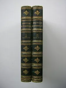 Butterflies F. O Morris, Double Volume 1895 Extremely Rare - Picture 1 of 12