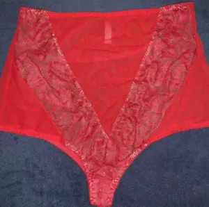 SECRETS IN LACE Red Sheer BRIEF PANTIES Lace High Rise Cheeky Nylon Mesh XL - Picture 1 of 13