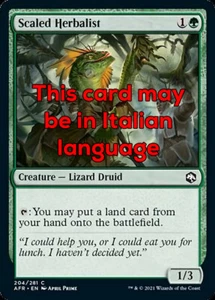 MTG 2x SCALED HERBALIST FOIL EXC - ERBORISTA SCAGLIOSA - AFR - MAGIC - Imagen 1 de 1