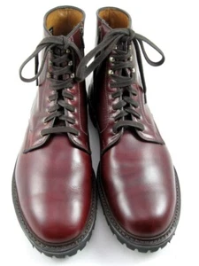 Allen Edmonds "Higgins Mill" WEATHERPROOF Zip Lug Boots 13 D Burgundy (524N) - Picture 1 of 10